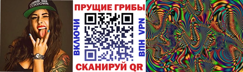 Псилоцибиновые грибы Cubensis  Купить  Светогорск 